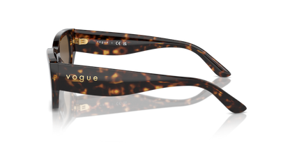 Dark Havana - 0VO5586S 8056262148310