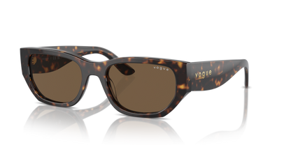 Dark Havana - 0VO5586S 8056262148310