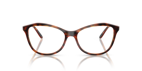 Dark Havana - 0VO5602 8056262227619