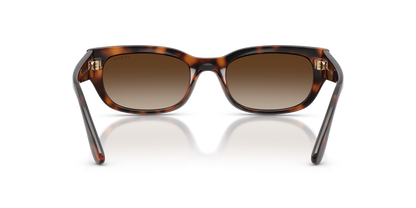 0VO5669S Total Dark Havana rear view image 3 barcode 8056262538807