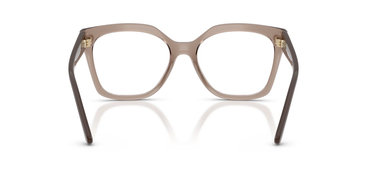0VO5691 Transparent Brown rear view image 3 barcode 8056262727348