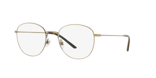 Brushed Gold - 0AR5082 8053672876871