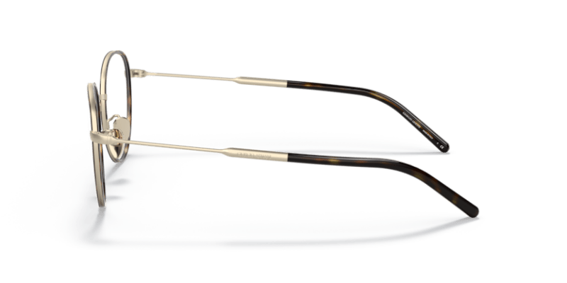 Matte Pale Gold/Havana - 0AR5111J 8056597425377