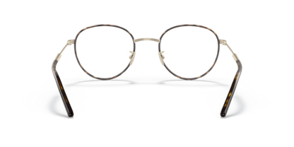 Matte Pale Gold/Havana - 0AR5111J 8056597425377