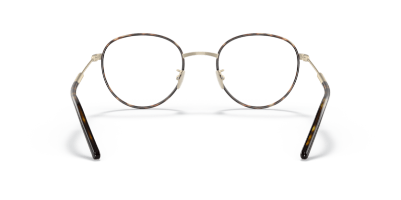 Matte Pale Gold/Havana - 0AR5111J 8056597425377