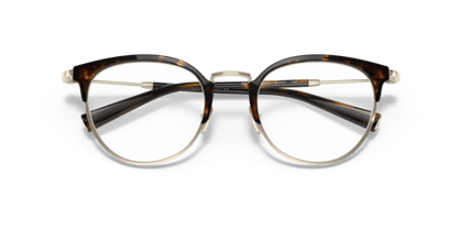 Pale Gold/Havana - 0AR5116 8056597517881