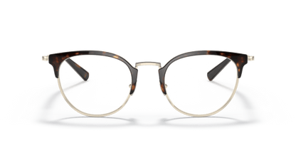 Pale Gold/Havana - 0AR5116 8056597517881