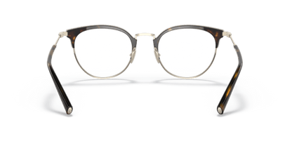 Pale Gold/Havana - 0AR5116 8056597517881