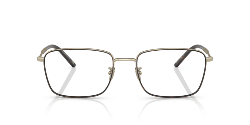 Matte Pale Gold/Havana - 0AR5127J 8056597738583