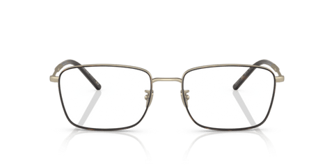 Matte Pale Gold/Havana - 0AR5127J 8056597738583
