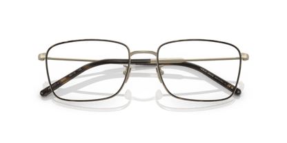 Matte Pale Gold/Havana - 0AR5127J 8056597738583