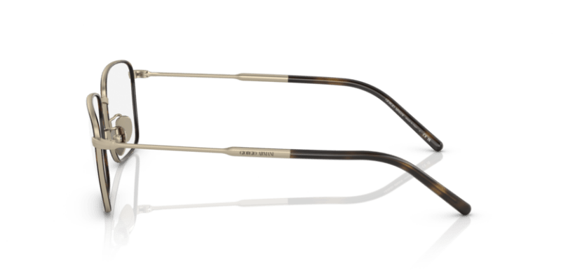 Matte Pale Gold/Havana - 0AR5127J 8056597738583