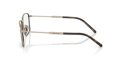 Matte Pale Gold/Havana - 0AR5127J 8056597738583