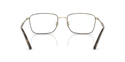 Matte Pale Gold/Havana - 0AR5127J 8056597738583