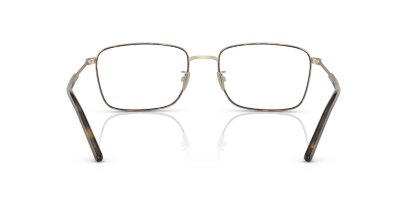 Matte Pale Gold/Havana - 0AR5127J 8056597738583