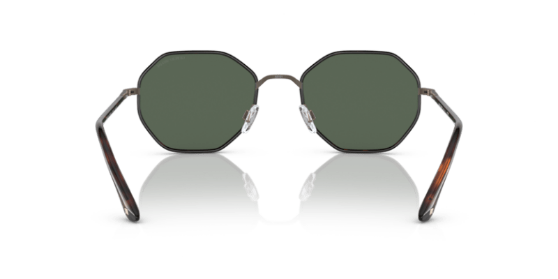 Brushed Pale Gold/Red Havana - 0AR6112J 8056597764377