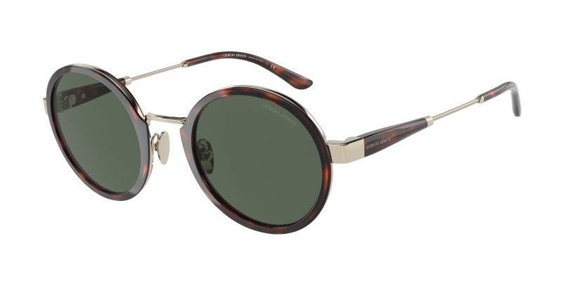 Giorgio Armani 0AR6133 Pale Gold/Tortoise 8056597622905