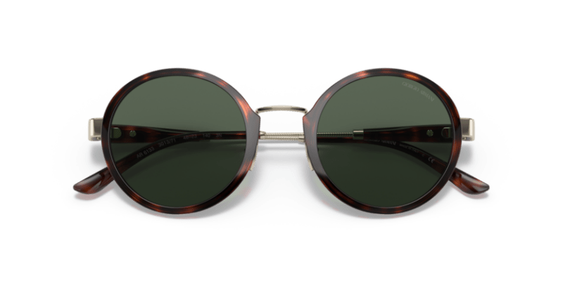 Giorgio Armani 0AR6133 Pale Gold/Tortoise 8056597622905