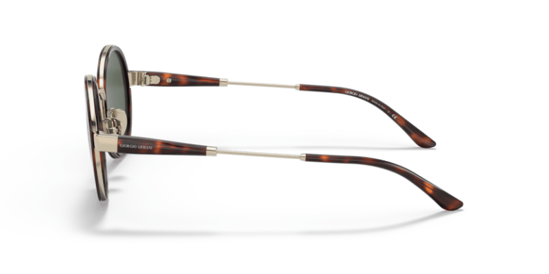 Giorgio Armani 0AR6133 Pale Gold/Tortoise 8056597622905