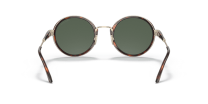 Giorgio Armani 0AR6133 Pale Gold/Tortoise 8056597622905