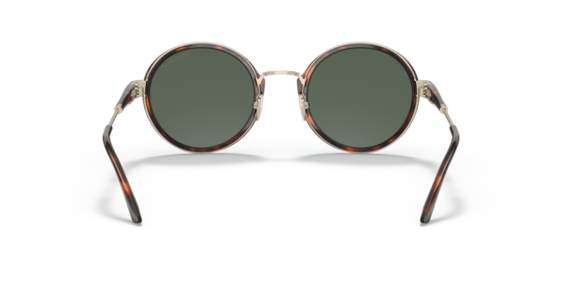 Giorgio Armani 0AR6133 Pale Gold/Tortoise 8056597622905