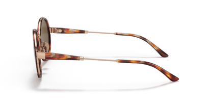 Giorgio Armani 0AR6133 Rose Gold/Tortoise 8056597622899