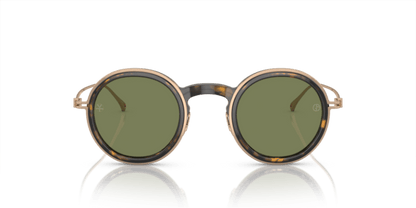 Shiny Havana - 0AR6147T 8056597934756