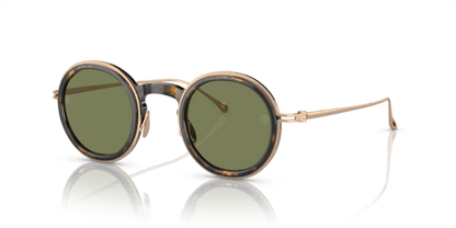 Shiny Havana - 0AR6147T 8056597934756