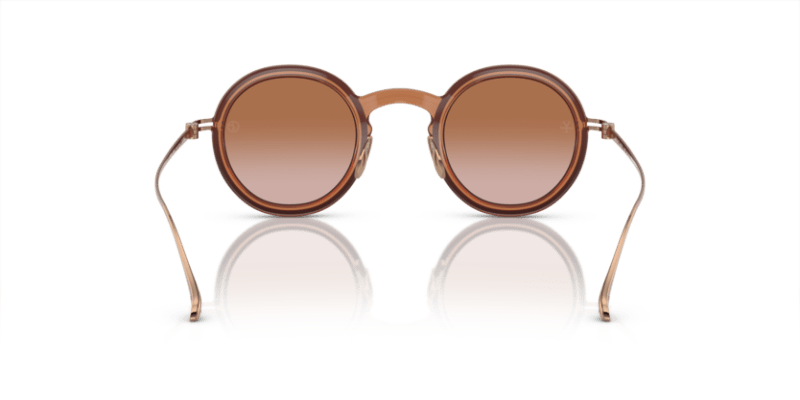 Shiny Transparent Brown - 0AR6147T 8056597934749