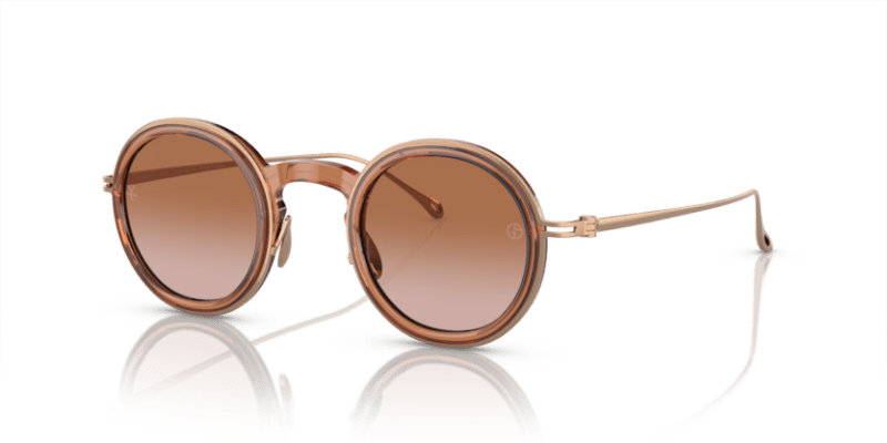 Shiny Transparent Brown - 0AR6147T 8056597934749