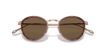 Shiny Havana - 0AR6148T 8056597934404