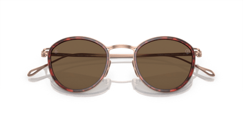 Shiny Havana - 0AR6148T 8056597934404
