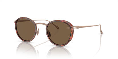 Shiny Havana - 0AR6148T 8056597934404