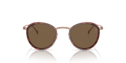 Shiny Havana - 0AR6148T 8056597934404