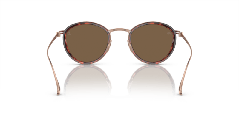 Shiny Havana - 0AR6148T 8056597934404