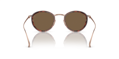 Shiny Havana - 0AR6148T 8056597934404