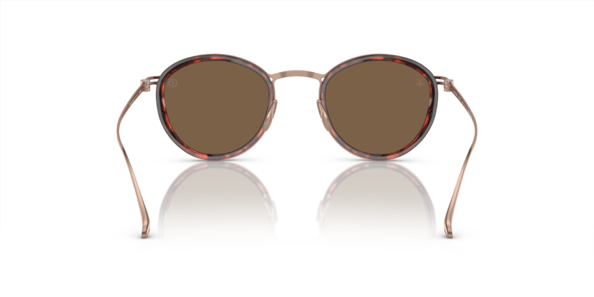 0AR6148T - Giorgio Armani - (Shiny Havana) Dark Brown - 46 - 22 - 145 MM - Ardor Eyewear 8056597934404