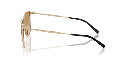 Pale Gold - 0AR6155 8056262031872