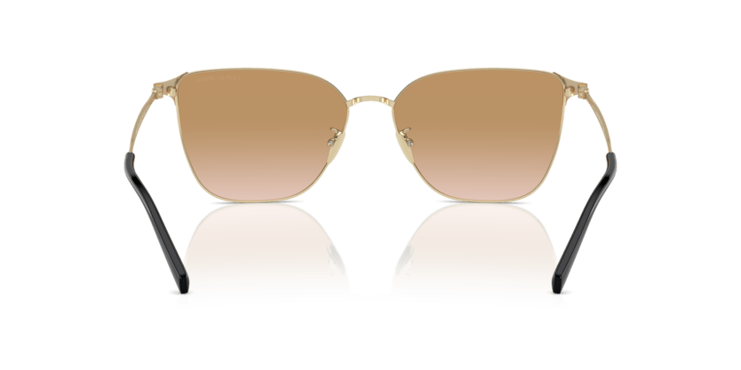 0AR6155 - Giorgio Armani - (Pale Gold) Gradient Brown - 58 - 15 - 140 MM - Ardor Eyewear 8056262031872