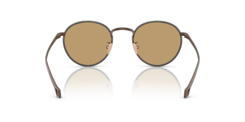 Matte Bronze - 0AR6163J 8056262224014