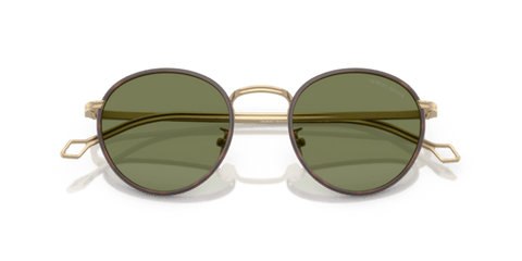 Matte Pale Gold - 0AR6163J 8056262223994