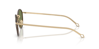 Matte Pale Gold - 0AR6163J 8056262223994