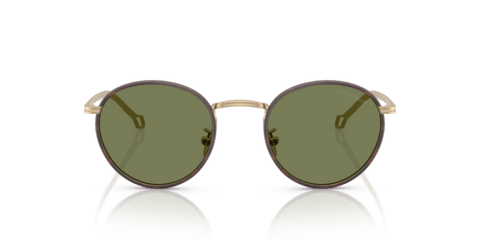 Matte Pale Gold - 0AR6163J 8056262223994