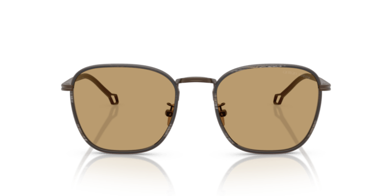 Matte Bronze - 0AR6164J 8056262223901