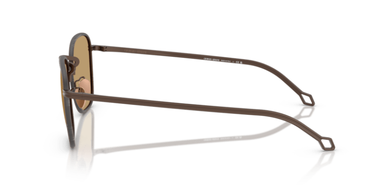 Matte Bronze - 0AR6164J 8056262223901