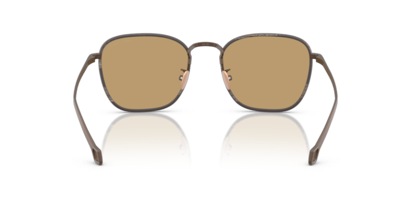 Matte Bronze - 0AR6164J 8056262223901