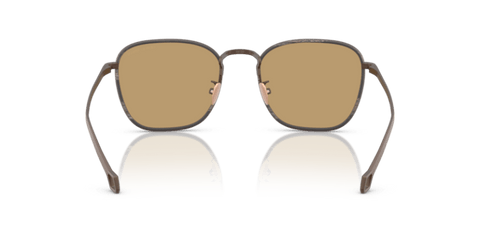 Matte Bronze - 0AR6164J 8056262223901
