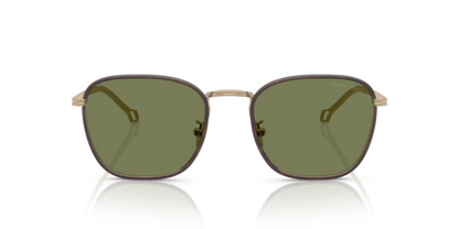 Matte Pale Gold - 0AR6164J 8056262223871