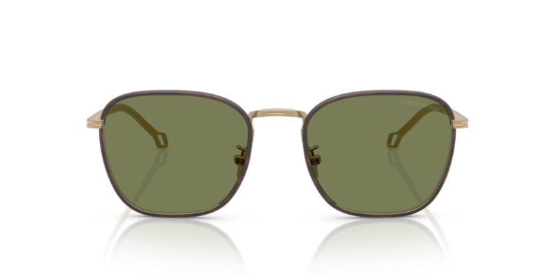 Matte Pale Gold - 0AR6164J 8056262223871