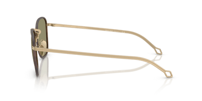 Matte Pale Gold - 0AR6164J 8056262223871